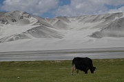 2004-08 LA ROUTE DE LA SOIE - Chine